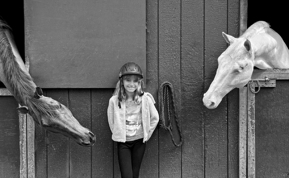 Guess Who Has the Carrots