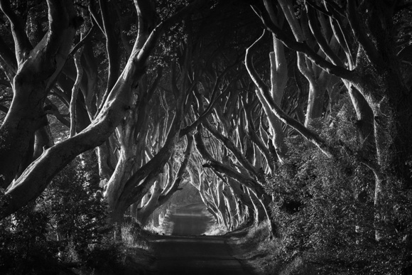 Enchanted