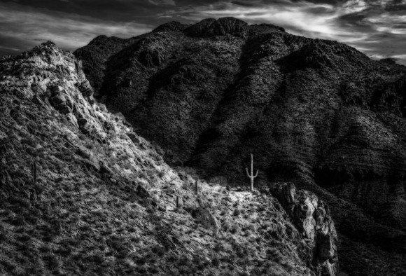 Lonesome