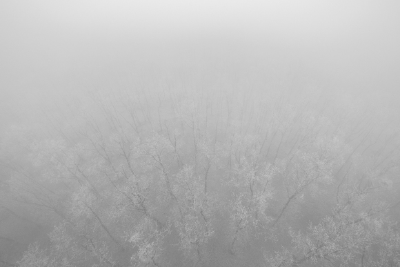 Uncertainty