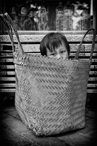 The shopping bag