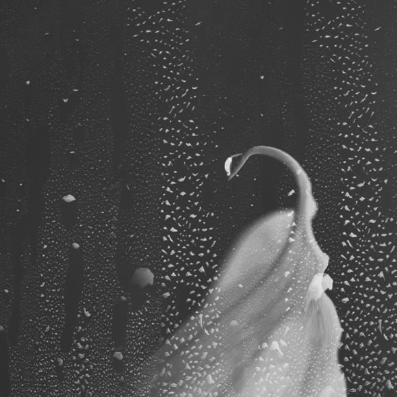 水墨葉