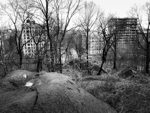 Central Park III