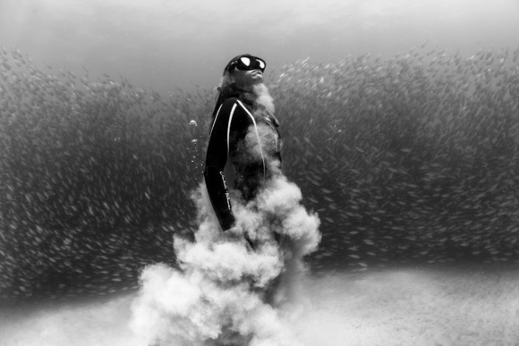 Freediving through Akule