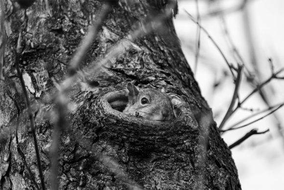Watching Me
