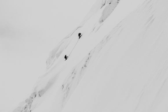 Kiwi Gully