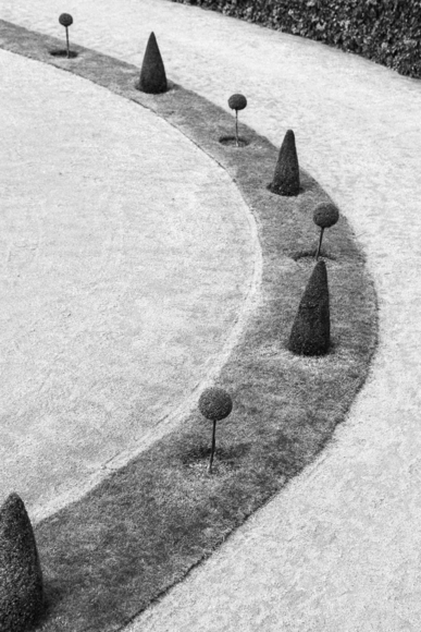 The Circle