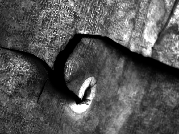 Dovetail