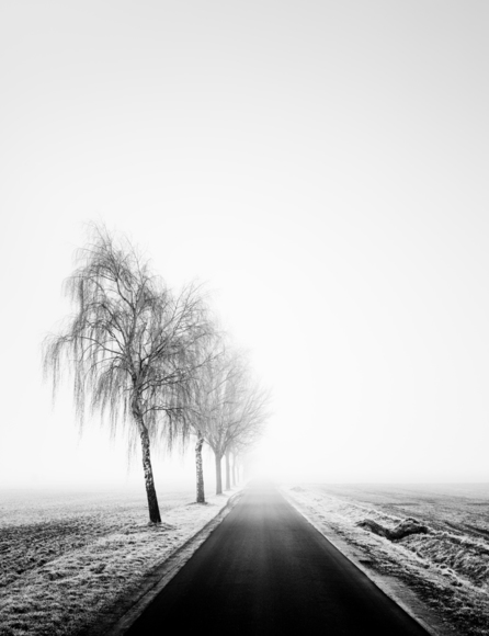 Endless