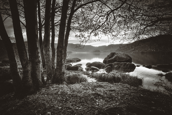 Whispering Waters