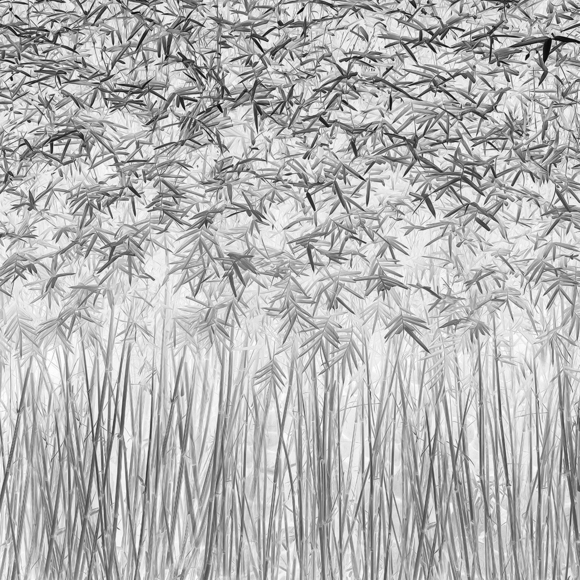 Parallelism
