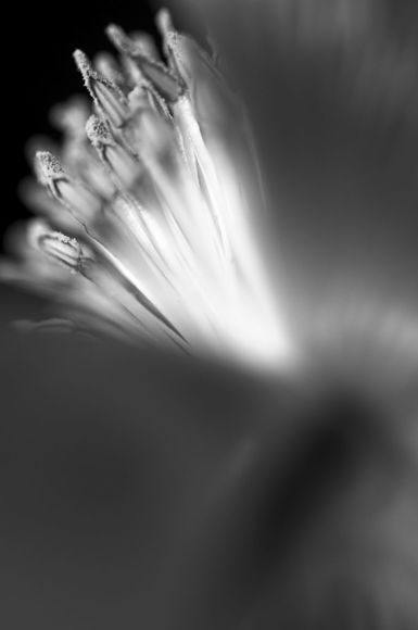 Light Within