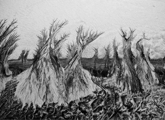 Bonfires in the Sand