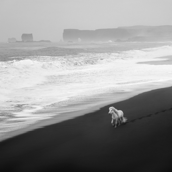 Ocean Escape