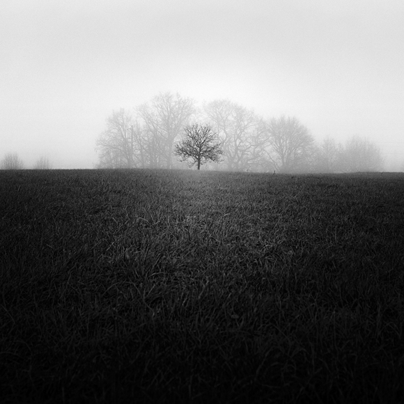 Happy tree