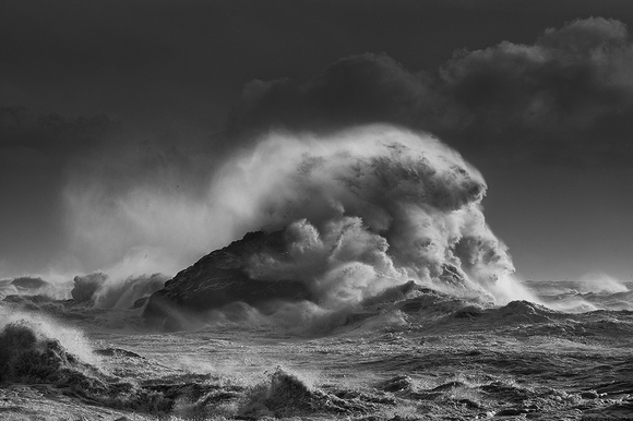 monster of the sea