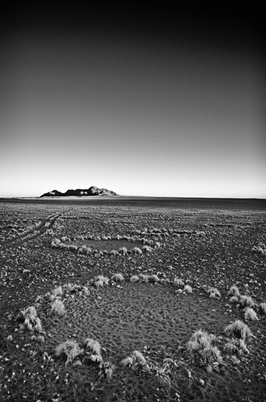 Where the Aliens come....