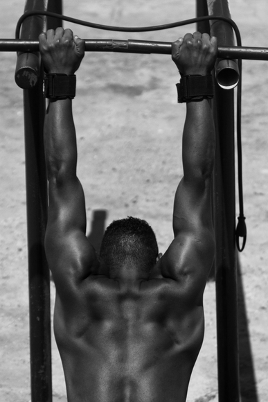 Thrum-Rainer_male body