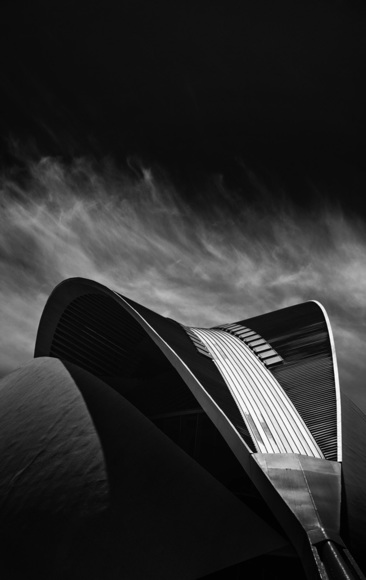 Spine