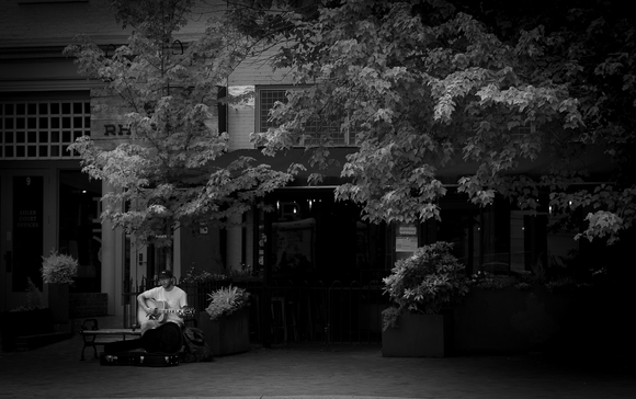  'Carolina' is calling you home