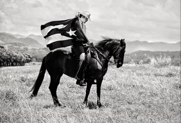 Puerto Rico, Paso Finos Endengered