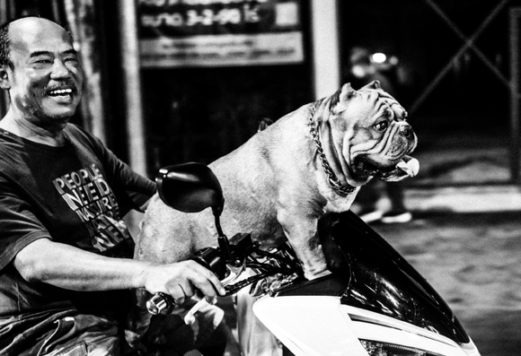 Bangkok man with dog taken from riding tuktuk