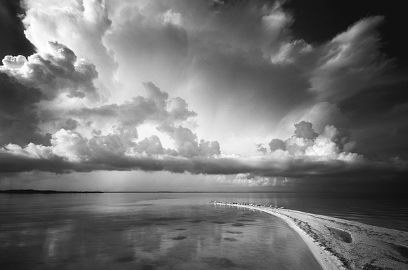 Little Butternut Key 1