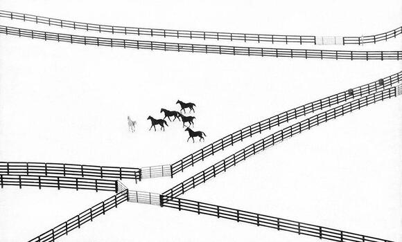 First Snow at Kentucky Horse Farm First Snow at Kentucky Horse Farm