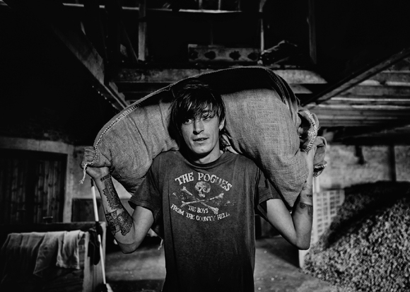 The Hop Picker The Hop Picker