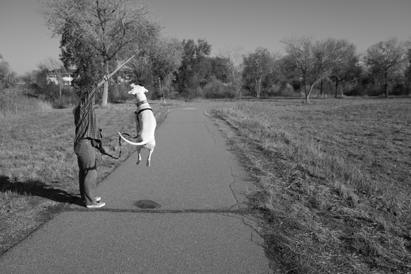 BW Details 6 BW Details 6