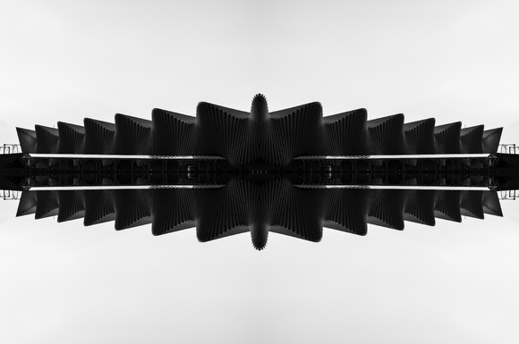 Calatrava in Black Calatrava in Black