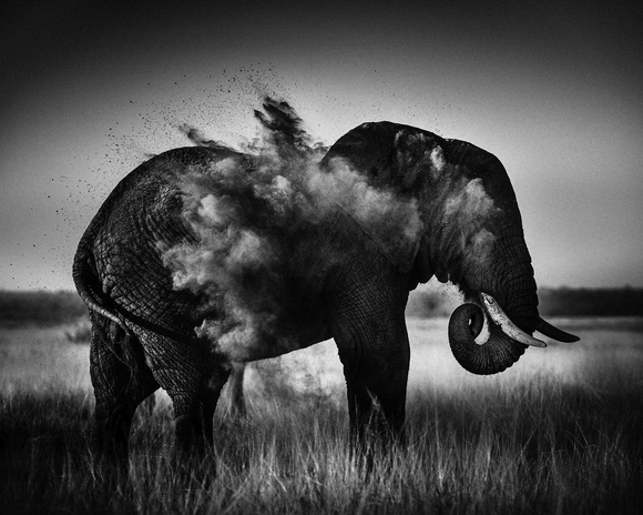 Dust explosion Dust explosion