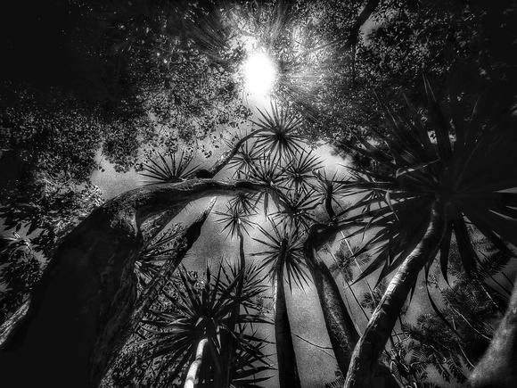 In The Garden at Chiselhurst #7826 In The Garden at Chiselhurst #7826