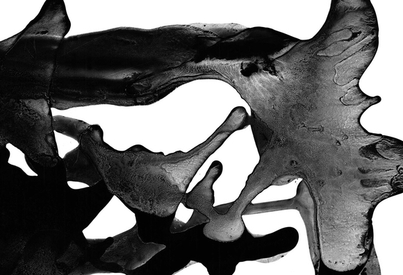 Methexis vi Methexis vi