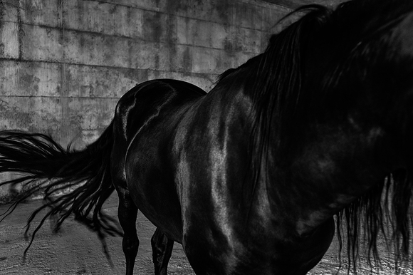 The Nomad (06) The Nomad (06)