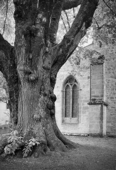 The window The window