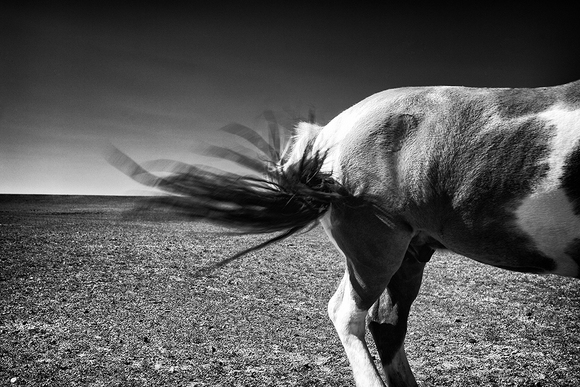 Twist in the tail Twist in the tail