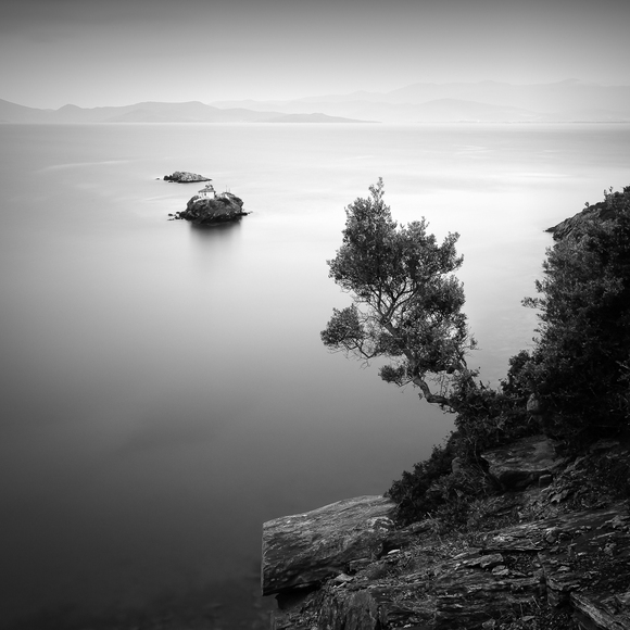 Lonely island Lonely island