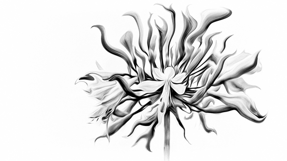 In Thin Air In Thin Air