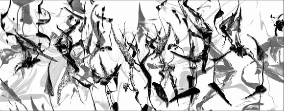 Dancing Arrowheads Dancing Arrowheads