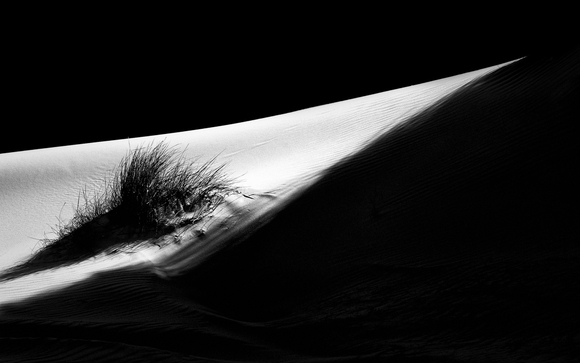 Dunes #14 Dunes #14
