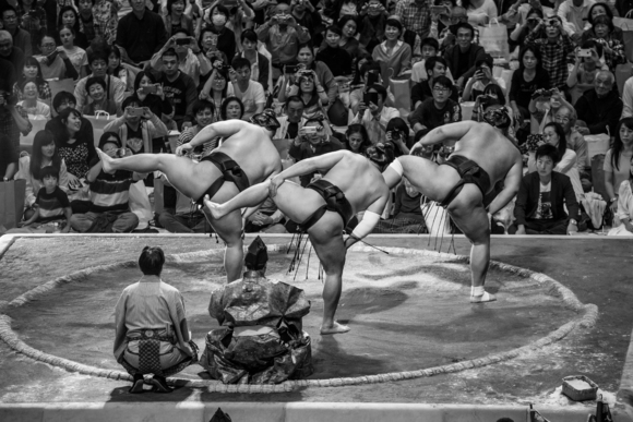 The Art of Sumo