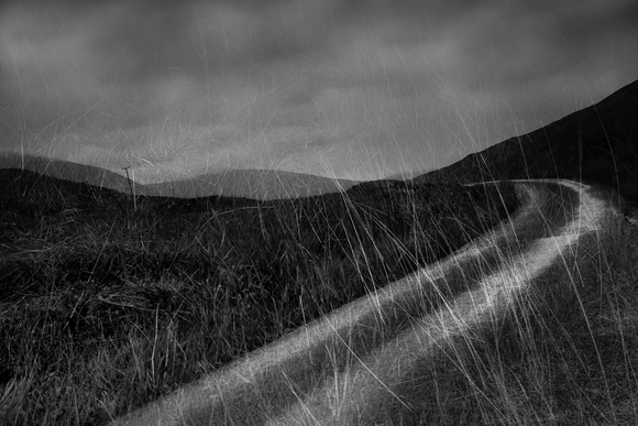 Slow Road Home Slow Road Home