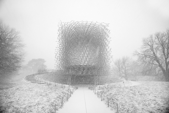Hive at Kew, in Winter