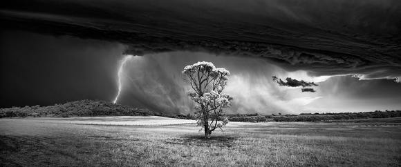 Barossa Bolt Barossa Bolt