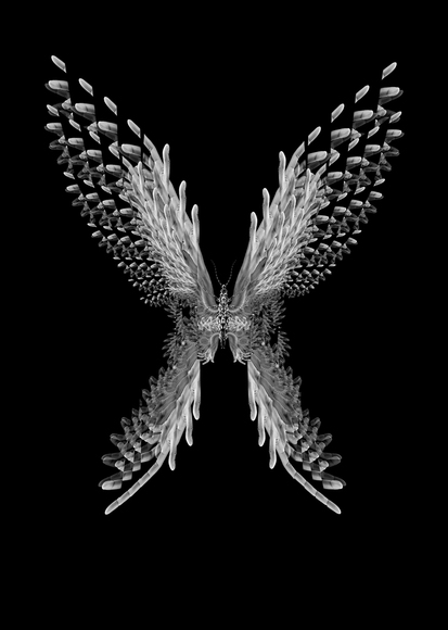 Butterfly Fingers Butterfly Fingers