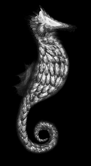 Seahorse Sarah Seahorse Sarah