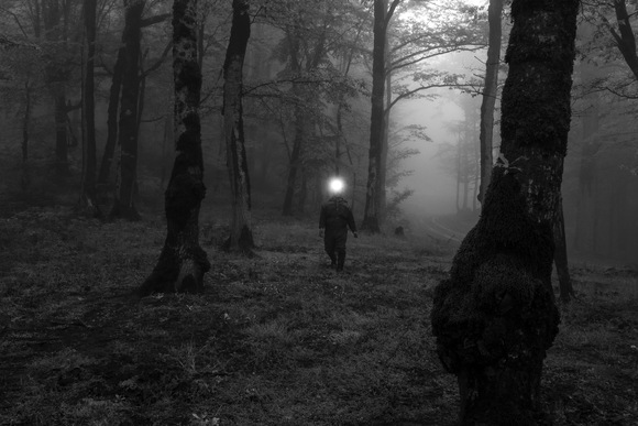 Miner In Forest Miner In Forest