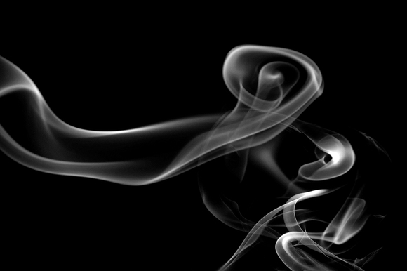 Phantom Rose Phantom Rose