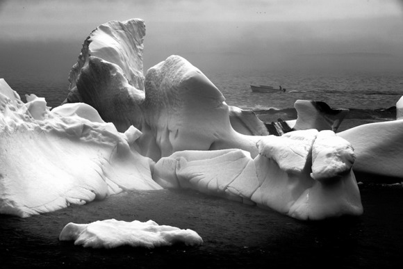 Melting icebergs, Quirpon Island, Newfoundland & Labrador